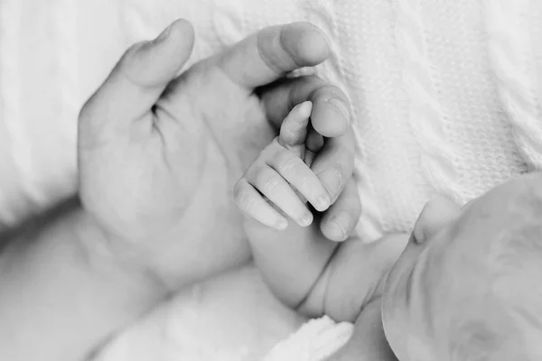 Father 's hand holding newborn — стоковое фото