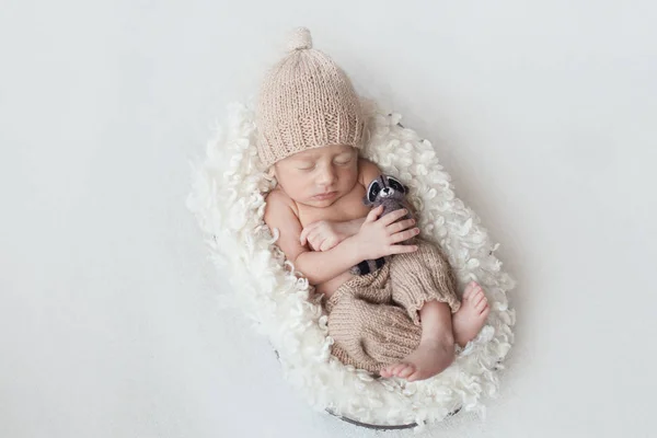 Yeni doğan bebek uykuda sepeti — Stok fotoğraf