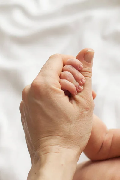 Newborn holding   mother — Stock Photo, Image