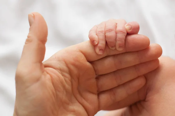 New born holding father Royalty Free Stock Photos