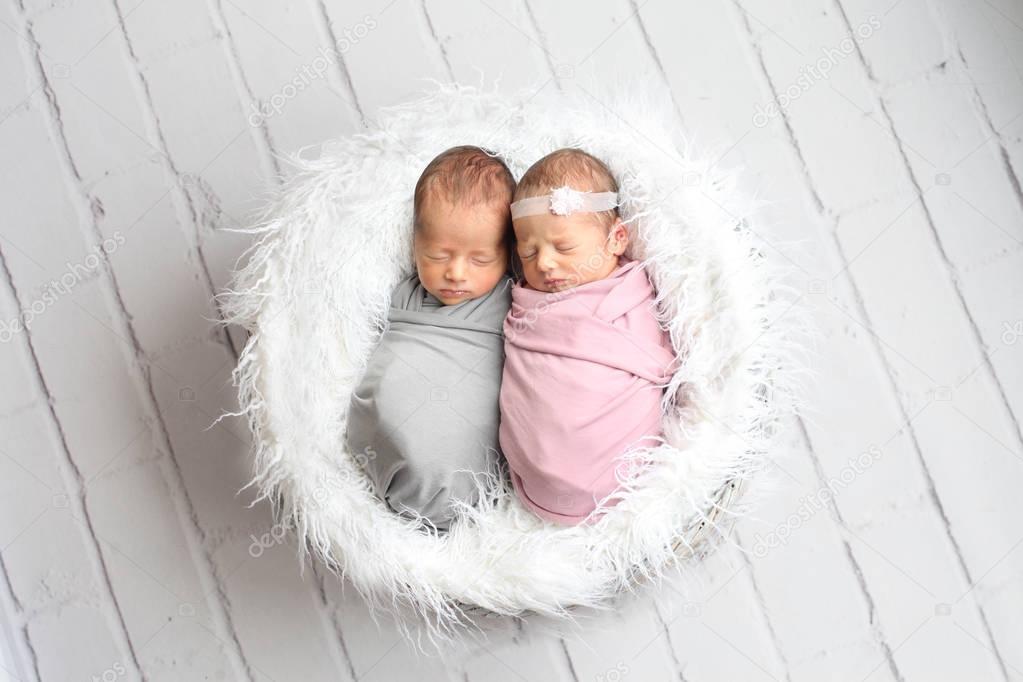 newborn baby girl  and boy sleeping 