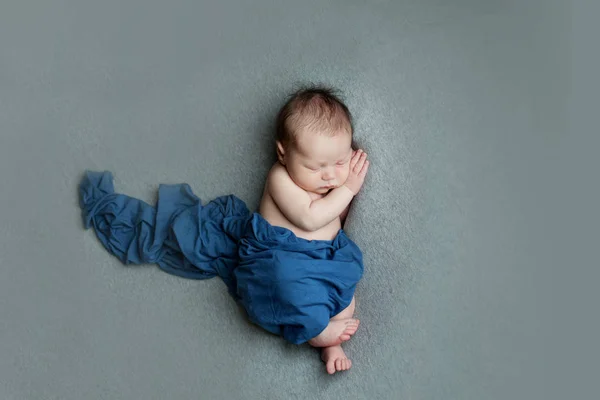 Newborn baby napping Stock Image