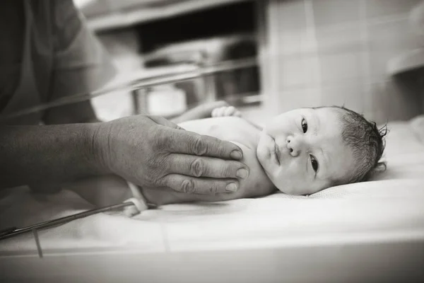 Hands holding newborn baby — Stock Photo, Image