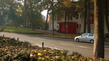 Sonbahar cadde boyunca araba sürücüleri