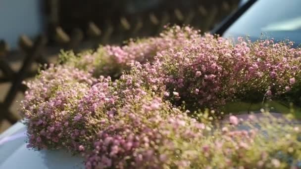 Wreathes av små rosa blommor lie på huven — Stockvideo