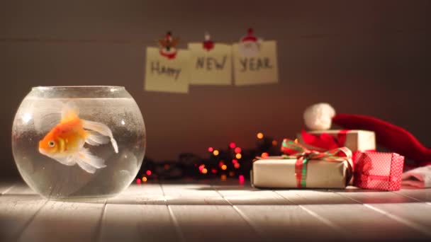 Beau poisson doré nageant dans l'aquarium, cadeaux autour, célébrer le Nouvel An, Décorations de vacances — Video