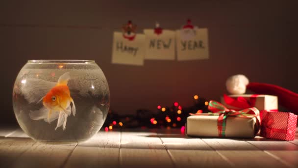 Zwemmen van de prachtige gouden vissen in aquarium, geschenken rond, viering van Nieuwjaar, decoraties voor de feestdagen — Stockvideo
