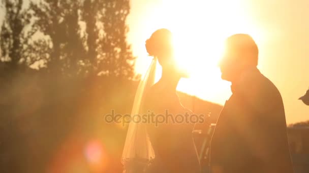 Noiva e noivo beijo em raios brilhantes de sol da noite — Vídeo de Stock