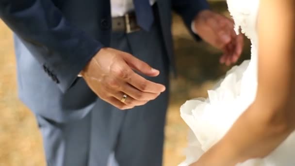 Groom lies his broad palms on brides thin waist in a corset — Stock Video