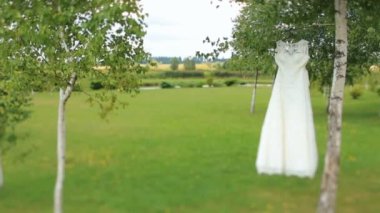 Gelinlik üzerinde yeşil arka ağaç üzerinde asılı