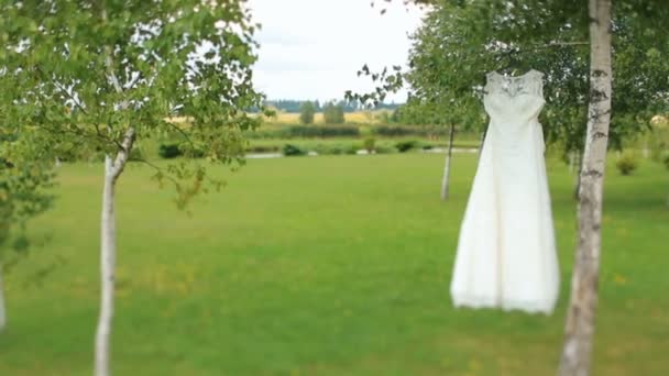 Suknia ślubna wisi na drzewie, na zielonym dziedzińcu — Wideo stockowe