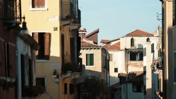 Pigeon flies across old Italian street — Stock Video