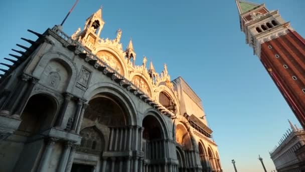 Meeuw vliegt onder oude Italiaanse gebouw in Venetië — Stockvideo