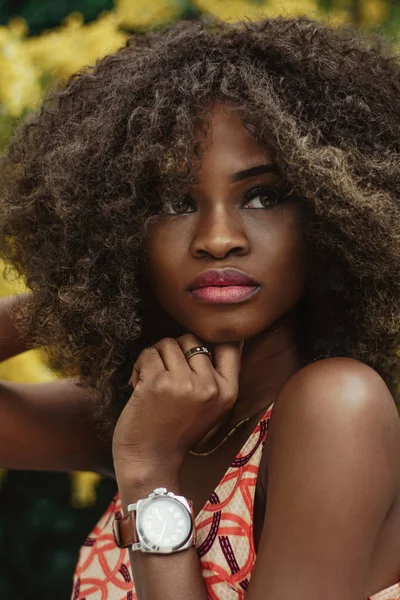Retrato da bela menina afroamericana. Cabelo encaracolado e rosto bonito . — Fotografia de Stock