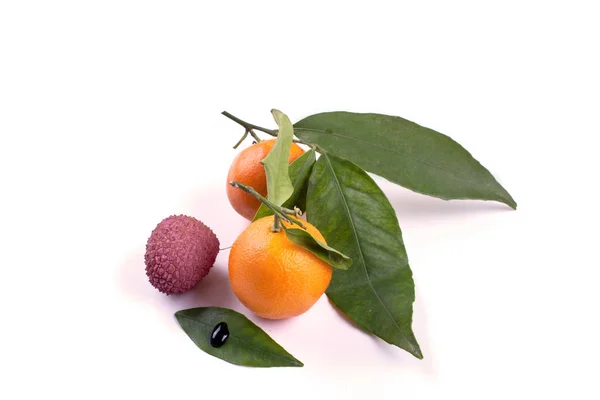 Vers mandarijnen met bladeren en litchi op een witte ondergrond — Stockfoto