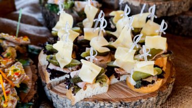 Bir ahşap tahta üzerinde peynir ile lezzetli farklı kanepe.