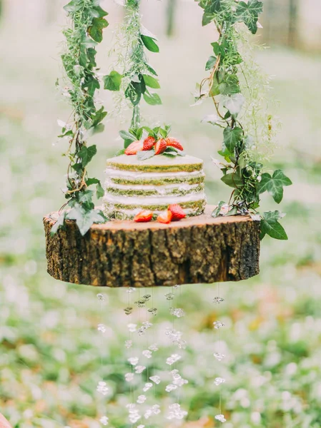 녹색과 흰색 스폰지 케이크 딸기 장식 하 고 나무의 그 루터 기 hangning에 배치. 숲에서 근접 구성. — 스톡 사진