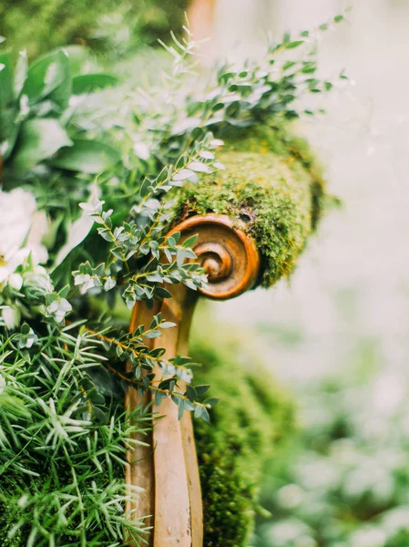 The close-up part of the chair full of moss and the green herbs from the wedding bouquet. Green compsition. — Stock Photo, Image