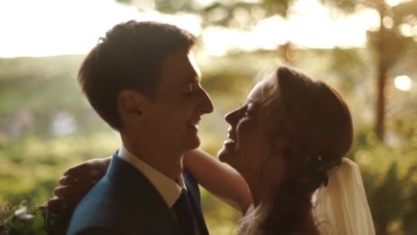 The close-up side portrait of the happy newlyweds hugging and kissing at the background of the sunset in the green field. — Stock Video