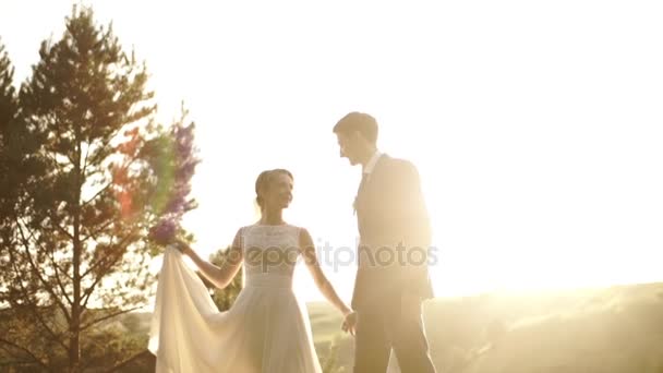 Os recém-casados românticos caminham no campo durante o pôr do sol. O casal recém-casado está de mãos dadas e beijando . — Vídeo de Stock