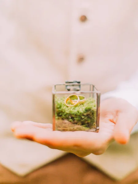 The close-up photo of the glass box full of the moss and the golden wedding rings placed on it holded by the man. — Stock Photo, Image