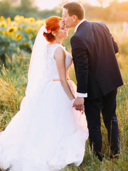 Hadsome novio suavemente beso su brillante novia pelirroja feliz con apariencia inusual en campo de girasol soleado —  Fotos de Stock