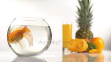 Turuncu kompozisyon kiwano, ananas, hurma ve cam portakal suyu ile arka plan bulanık yuvarlak akvaryumda Yüzme altın balık yakından görmek oluşuyordu.