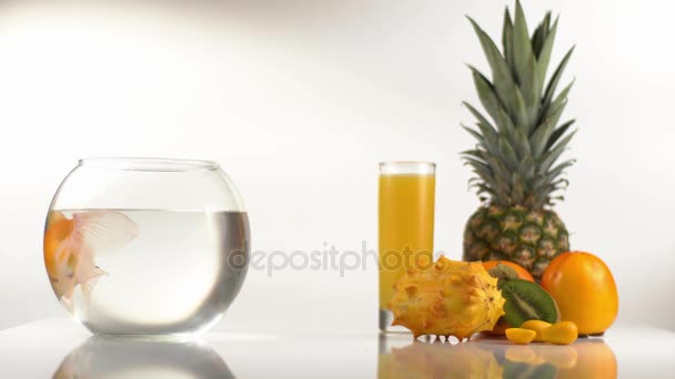 Le poisson doré dans l'aquarium rond est placé près du verre avec du jus et de la composition alimentaire composée d'ananas, de kaki et de kiwano . — Video