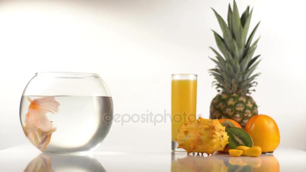 Vista de perto do peixe dourado nadando no aquário redondo localizado perto do abacaxi, kiwano, cáqui e vidro com suco de laranja . — Vídeo de Stock