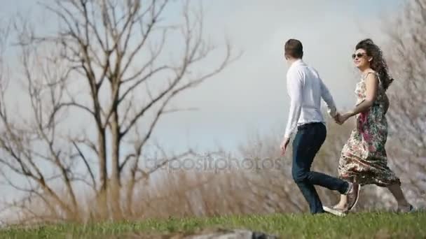 Крупный план счастливой пары, держащейся за руки и бегущей по лугу на фоне гор . — стоковое видео