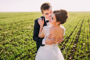 Yeşil alan arka plan, yanak damat tarafından öptüm gelin arka yatay görünüm.