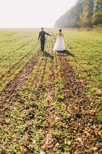 手を繋いでいると、緑の野原を歩いて新婚夫婦の背面図. — ストック写真