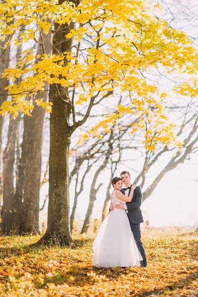 Das ganzseitige Foto des sich umarmenden Brautpaares im herbstlichen Park. — Stockfoto