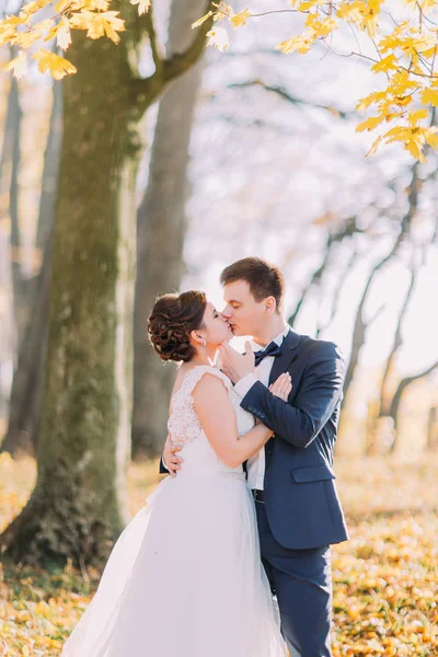 Dikey öpüşme yeni evliler, sonbahar park arka plan görünümünü. — Stok fotoğraf