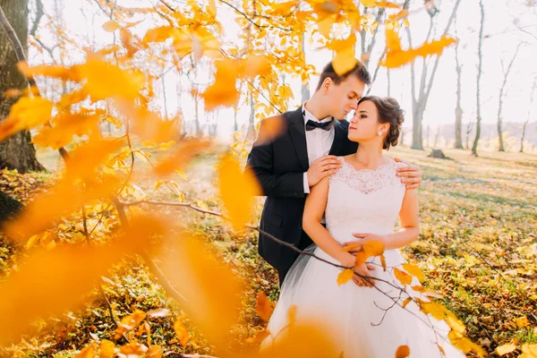 The sensitive outdoor portrait of the happy newlyweds. The groom is hugging the bride back behind the blurred yellowed trees. — Stock Photo, Image