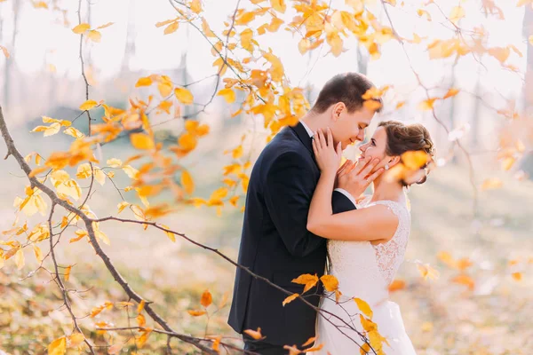 Romantic close-up portrait of th cheerful newlywed couple among the yellowed leaves. — Stock Photo, Image