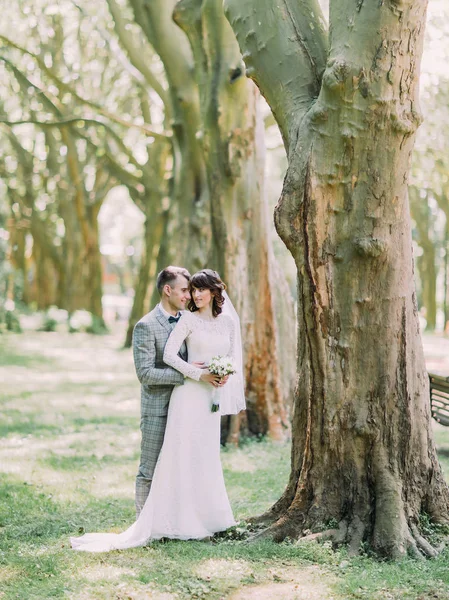 Le portrait complet du marié embrassant la mariée dans le parc ensoleillé . — Photo