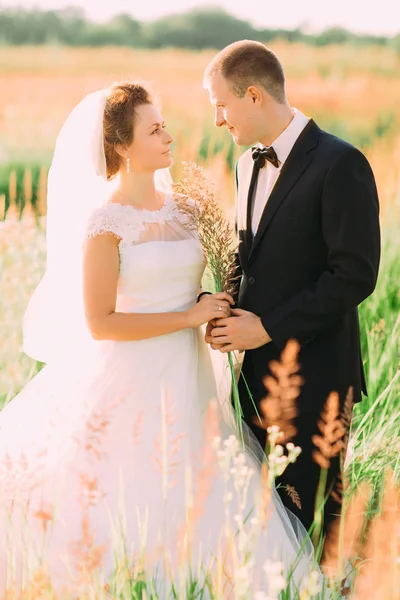 El retrato lateral de cerca de los recién casados sosteniendo la oreja entre las ruedas . —  Fotos de Stock