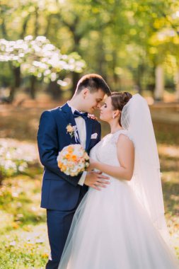 Güneşli parkta sarılma yeni evli çiftin hassas yakın çekim portre.