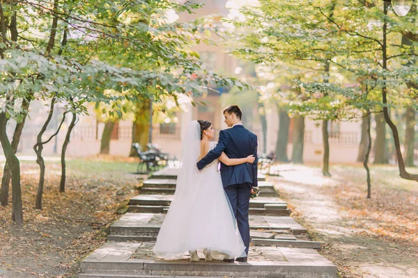 The back view of the stylish newlyweds hugging and walking in the sunny park. — Stock Photo, Image