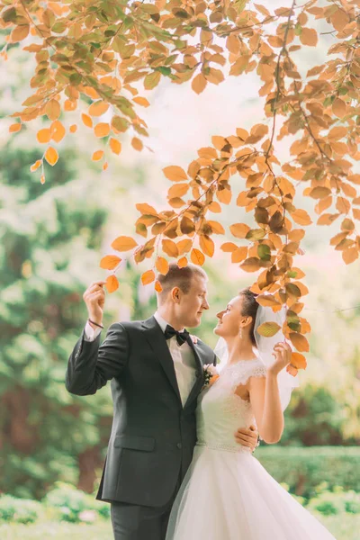 La composition du mariage d'automne des jeunes mariés debout sous les arbres jaunis . — Photo