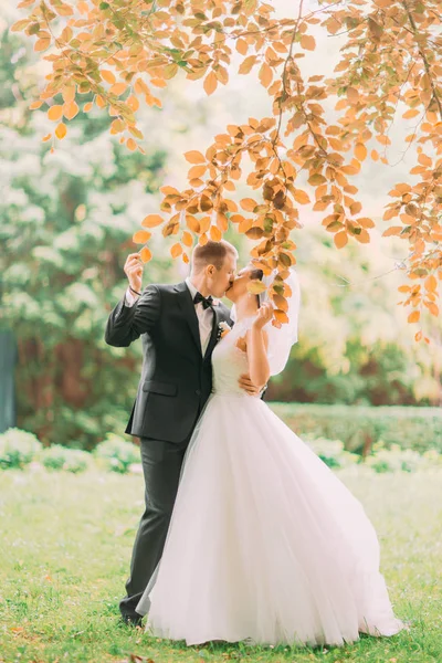 Gli sposi novelli che si baciano nel parco autunnale. Vista a tutta lunghezza . — Foto Stock