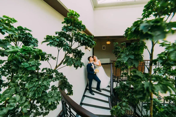 Noiva feliz e noivo posando nas escadas olhando para cima. Folhas de fábrica verdes em um primeiro plano — Fotografia de Stock