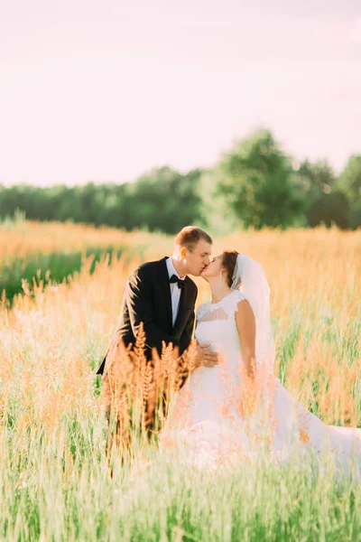Die vertikale Ansicht des küssenden Brautpaares im Weizenfeld. — Stockfoto