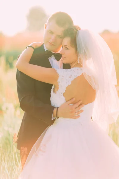 La vista trasera de los recién casados abrazados en el campo de trigo . —  Fotos de Stock