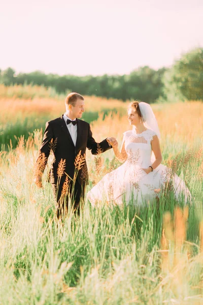 Sposi felici che hanno fung nel campo di grano . — Foto Stock