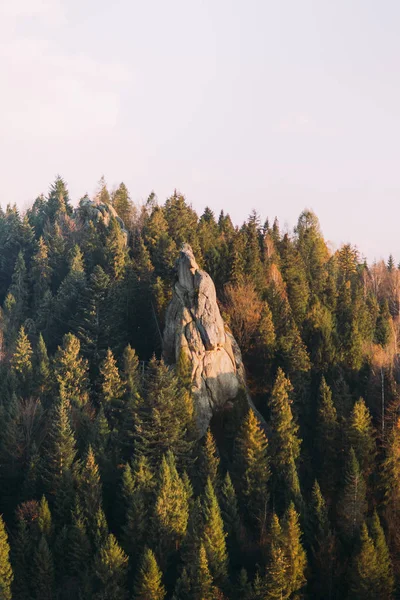 De rots onder de groene bossen tijdens de zonsondergang. Natuur concept. — Stockfoto