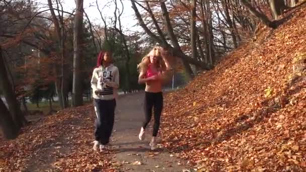 Twee mooie multirace vriendinnen zijn joggen langs het herfst park. — Stockvideo