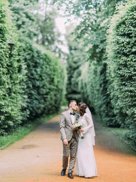 La vue complète des jeunes mariés embrassants et marchant à travers les buissons hauts . — Photo