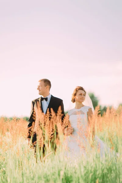 Retrato vertical dos recém-casados de mãos dadas entre as orelhas de trigo . — Fotografia de Stock